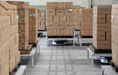 十問曠視印奇 AI公司步入深水區，友商其實不是友商，裝卸搬運的現實與挑戰